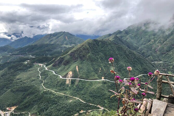 SaPa Motorbike Tour - Half day - Visit Waterfall - O Quy Ho Pass and the Lonely Tree: A Viewpoint Stop With Real Character