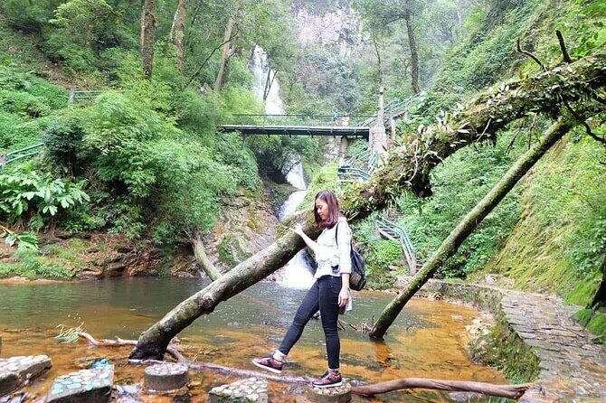 Sapa Private Car Tour to Silver & Love Waterfalls and Lonely Tree - A quick private loop with real Sapa views