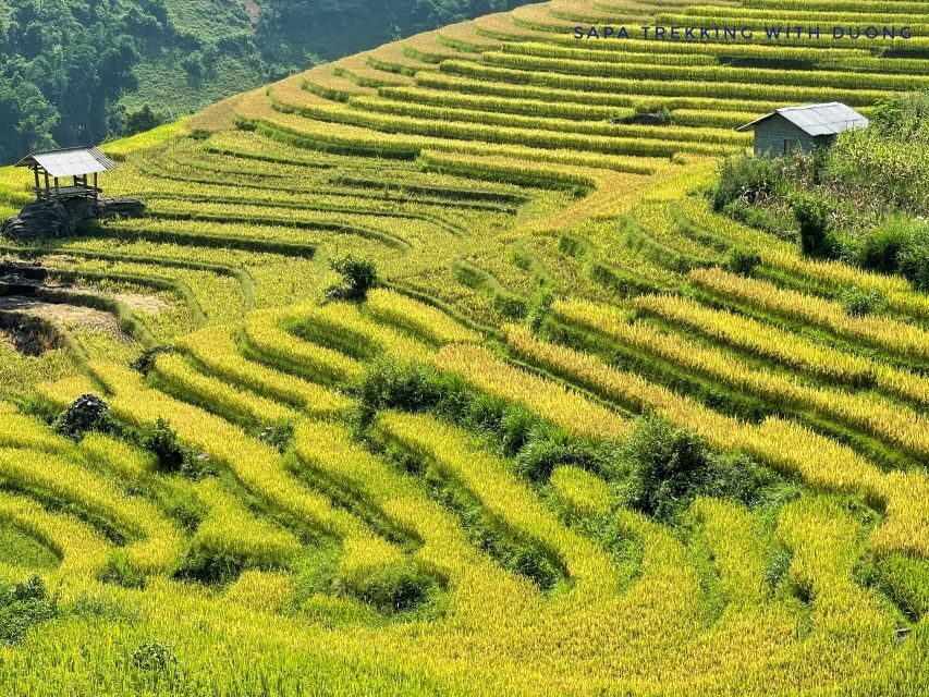Sapa: Private Muong Hoa Valley and Homestay Trekking 2-Day - Day 1: Y Linh Ho terraces, Black Hmong houses, and lunch at a local home