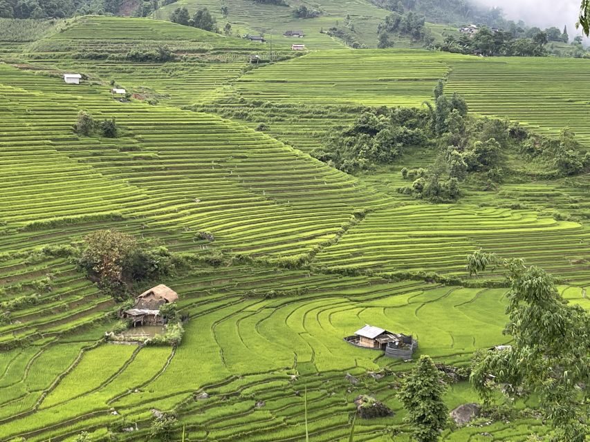 Sapa: Private Muong Hoa Valley and Homestay Trekking 2-Day - Hau Thau village: indigo, wedding stories, and the trumpet moment