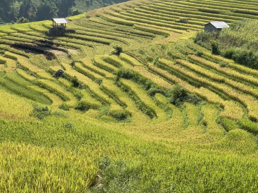 Sapa: Private Muong Hoa Valley and Homestay Trekking 2-Day - Getting back to Sapa and using the rest of your day