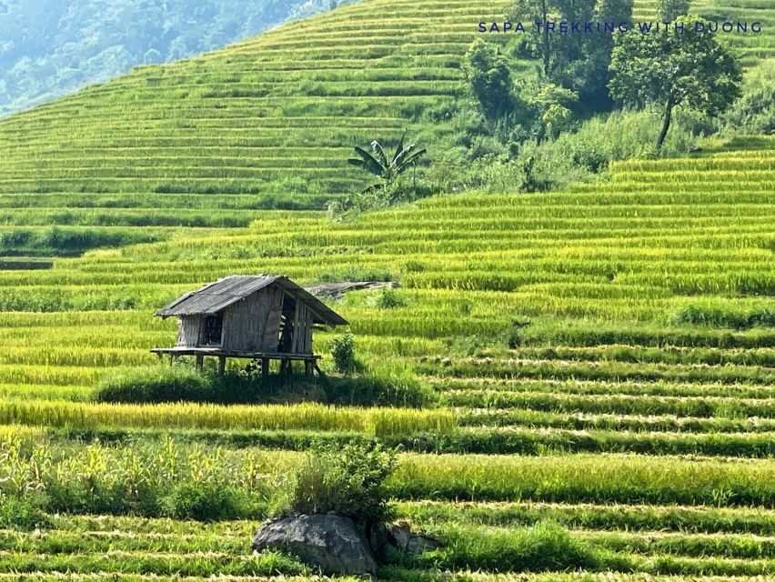 Sapa: Private Muong Hoa Valley and Homestay Trekking 2-Day - Pickup, private format, and the included details that save you hassle
