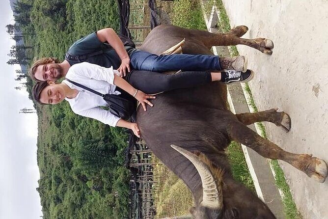 Sapa private: One day of funny Buffalo Ride & Trekking Tour - Starting at 13 Tuệ Tĩnh: what to do with your morning energy
