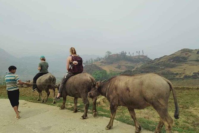 Sapa private: One day of funny Buffalo Ride & Trekking Tour - Ta Phin Village area trekking: Suoi Ho rice views and a school stop