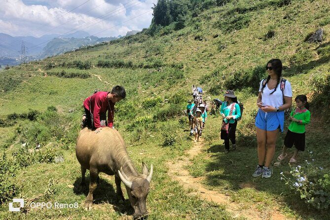 Sapa private: One day of funny Buffalo Ride & Trekking Tour - Lu Khau lunch: cultural learning with a real meal