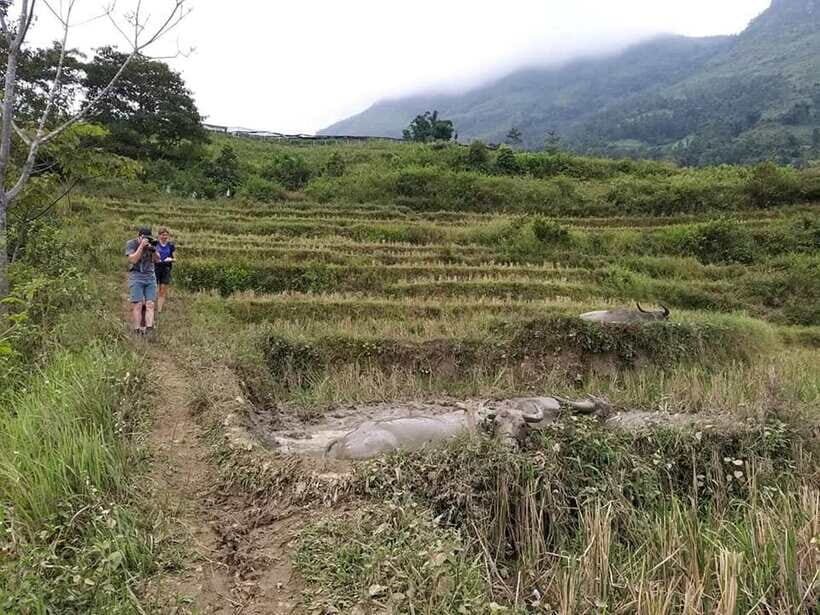 Sapa: Private trek to Muong Hoa Valley - Lunch near the river bank: included, local, and filling