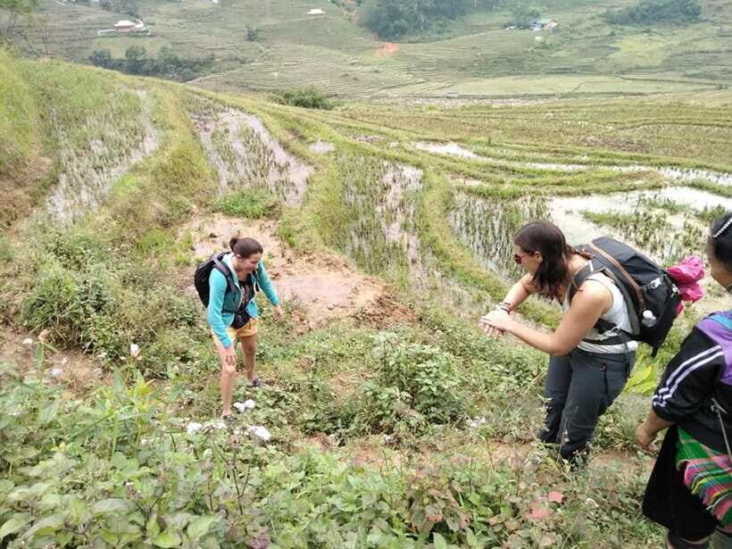 Sapa: Private trek to Muong Hoa Valley - Your guide makes the day: English support that feels personal