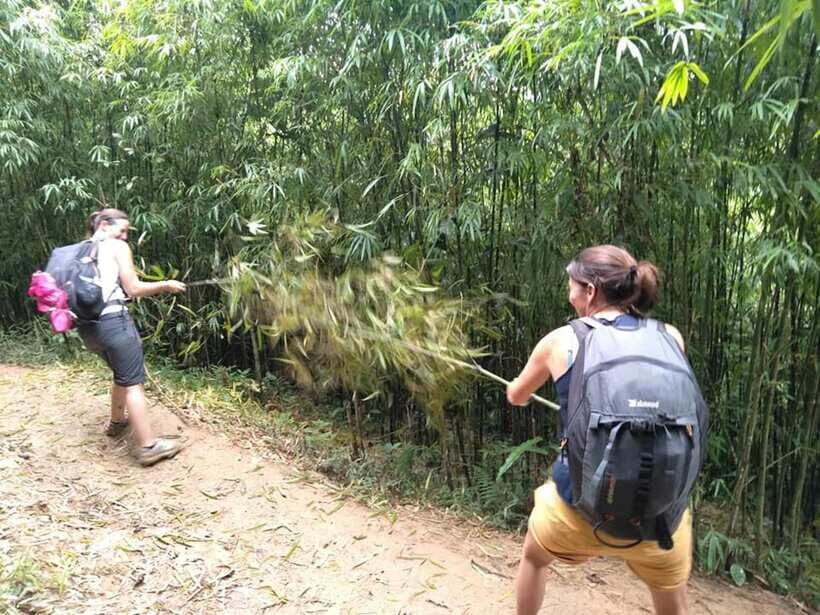 Sapa: Private trek to Muong Hoa Valley - Price and value: what $47 includes and why it makes sense