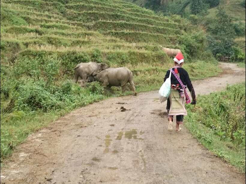 Sapa: Private trek to Muong Hoa Valley - From Sapa town to Black Hmong villages and Lao Chai terraces