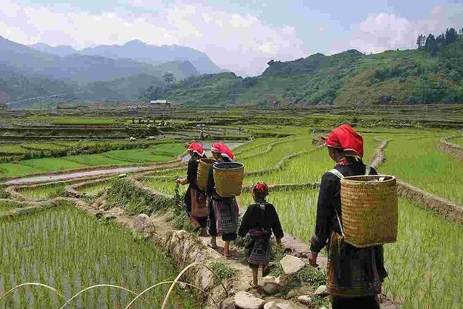 Sapa Private Trekking Through Rice Terraced Fields - 1Day - Price and Logistics: Is $50 Good Value for This Route?