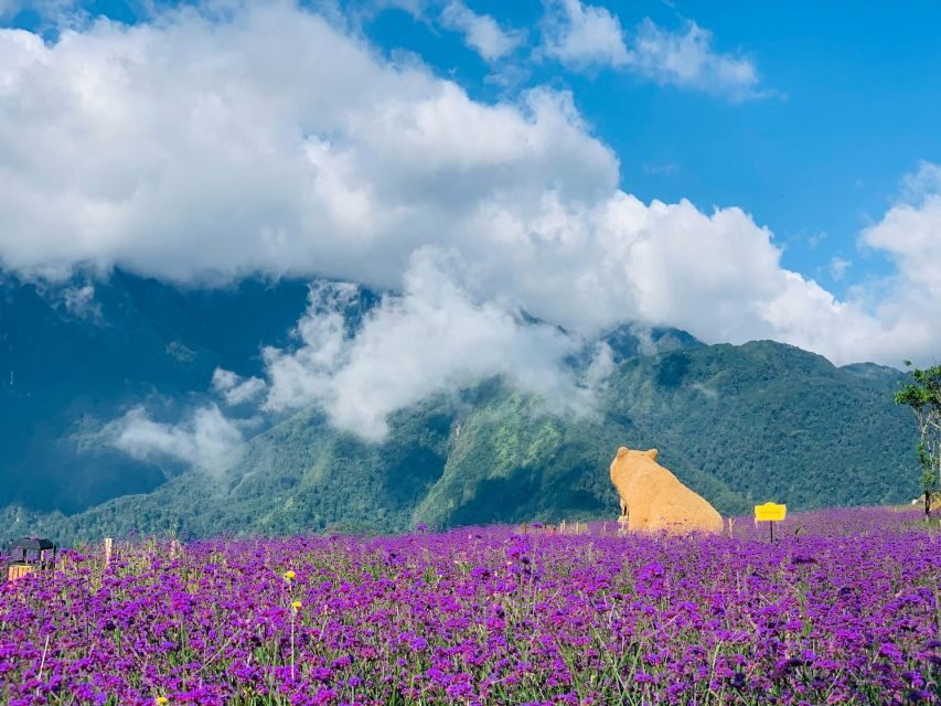 Sapa: Sunworld Fansipan Legend Ticket - The altitude reality check (and who should skip this)
