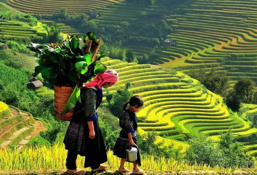 Sapa: Ta Phin Village Trek with Lunch and Bathing Experience - Pace, group size, and who this day trip really suits