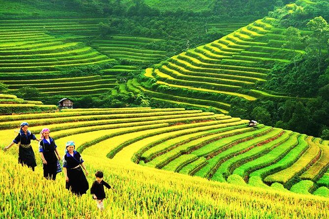 Sapa Tours 2D1N stay At 4 stars hotel nice Sleeping Bus TRANSFER - Quick Hits Before You Go