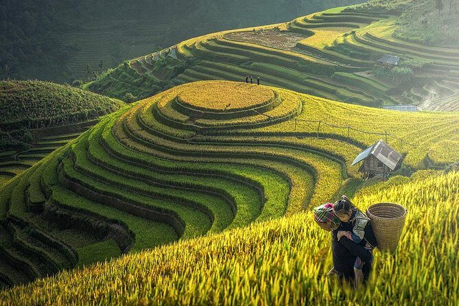 Sapa Trek Tours -2D1N Stay At 3*** -TRANSFER BY SLEEPING BUS - Day 1: Hanoi Morning Pickup and Cat Cat Village Flow