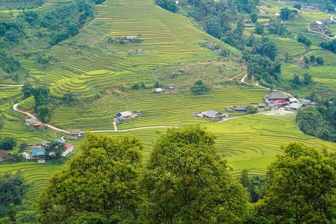 Sapa Trekking 3 Days 2 Nights (Homestay) - Departure From Hanoi - Price and Value: What $98.74 Actually Covers