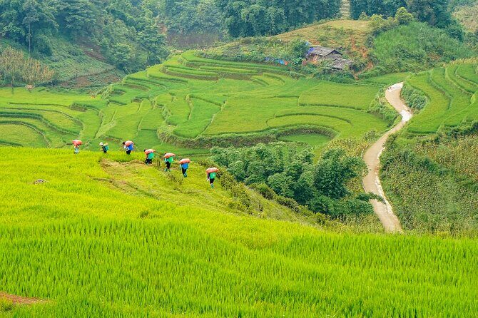 Sapa Trekking 3 Days 2 Nights (Homestay) - Departure From Hanoi - Day 2: Bamboo Forest, Waterfall, and Giang Ta Chai With the Red Dzao