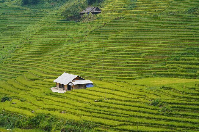 Sapa Trekking 3 Days 2 Nights (Homestay) - Departure From Hanoi - Day 3: Su Pan and Hau Thao Viewpoints, Then Back to Sapa