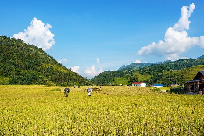 Sapa Trekking 3 Days 2 Nights (Homestay) - Departure From Hanoi - Homestays in Ta Van and Giang Ta Chai: Food, Beds, and Family Hospitality