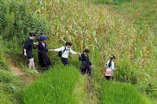 Sapa Trekking & Homestay 2 Days 1 Night - Muong Hoa Valley on foot: what you’re really signing up for