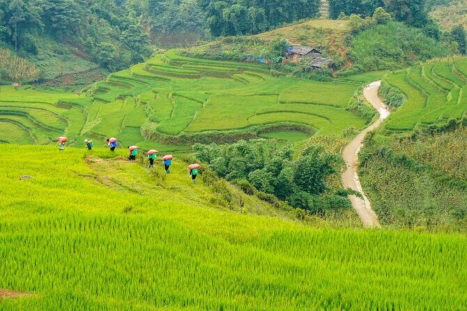 Sapa Trekking & Homestay 2 Days 1 Night - Hanoi pickup and the Sapa bus ride reality check