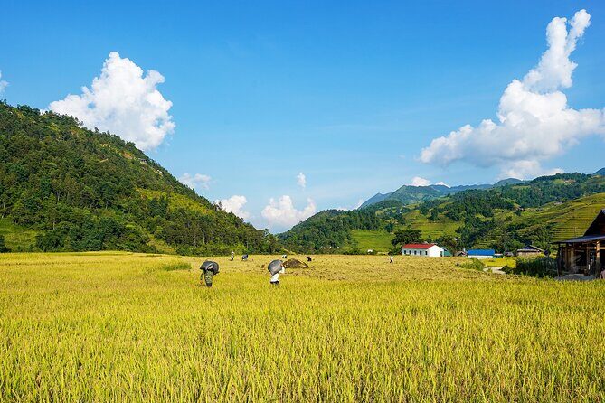 Sapa Trekking & Homestay 2 Days 1 Night - Meals and what’s included: how the food fits the pace