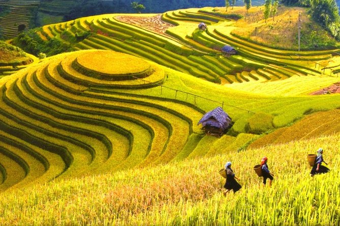 Sapa Trekking Tours - 2 Days 1 Night Stay At Homestay - Day 1 to Cat Cat Village: 5 km of Trail Walking and Your Homestay Night