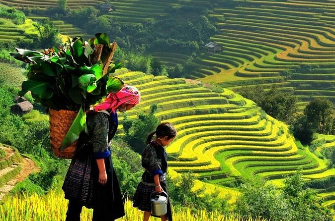 Sapa Trekking Tours - 2 Days 1 Night Stay At Homestay - Day 2 Village Loop: Y Linh Ho, Lao Chai, and Ta Van