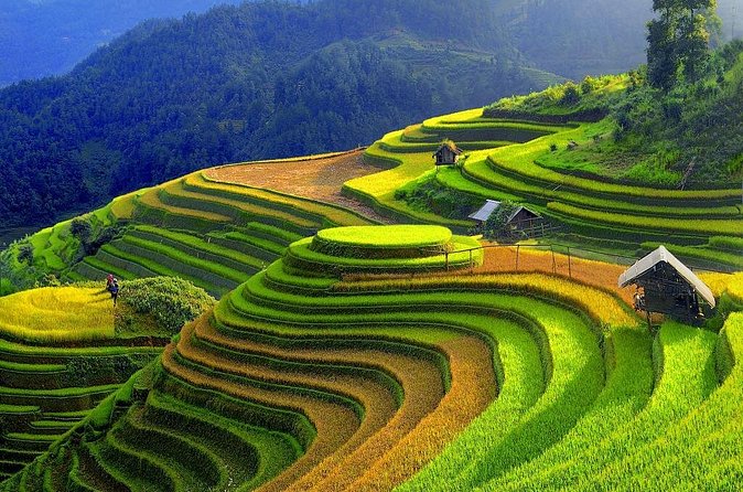 Sapa Trekking Tours - 2 Days 1 Night Stay At Homestay - What This Trek Really Feels Like: Pace, Fitness, and Trail Conditions