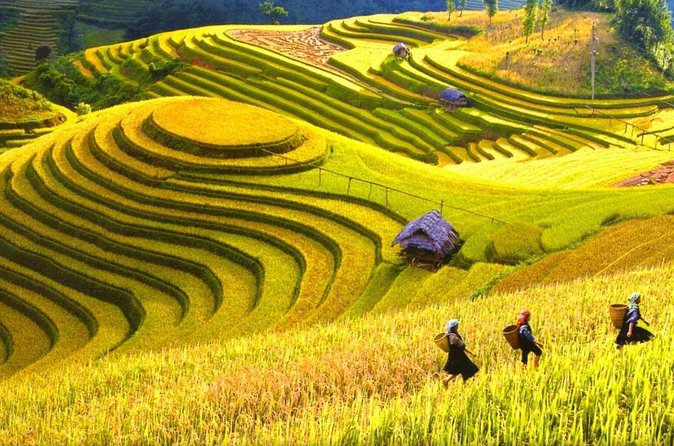 Sapa Trekking Tours - 2 Days 1 Night Stay At Homestay - Who Should Book This and Who Should Pass