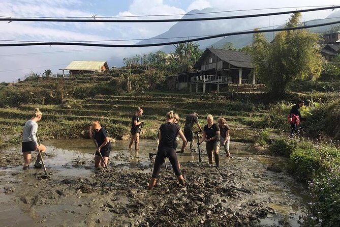 Sapa trekking - Unique Route - 2D1N - Dao Homestay Night: Dinner, Recovery, and Real Local Rhythm