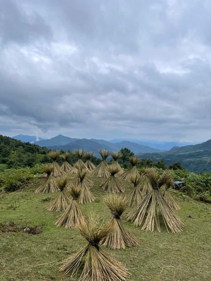Sapa: Y Linh Ho - Lao Chai, and Ta Van Trekking Day Tour - Morning start in Sapa: where your day begins