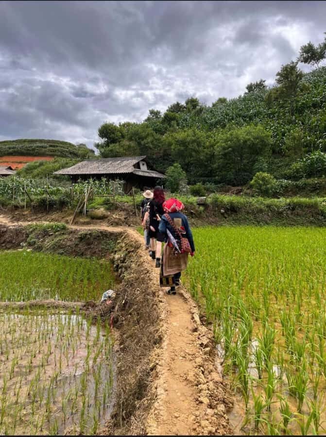 Sapa: Y Linh Ho - Lao Chai, and Ta Van Trekking Day Tour - Itinerary reality check: pace, time, and what a 10–12 km day feels like