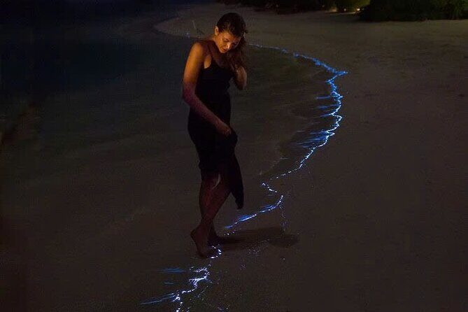 Sunset and Plankton Bioluminescent Night Kayak Lan Ha Bay - Key things that make this tour worth your time