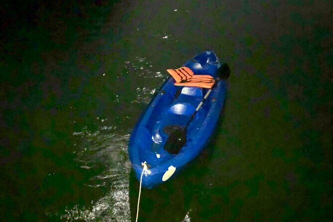 Sunset & Bioluminescent Plankton Kayaking Lan Ha bay - Cai Beo floating village and Van Boi sunset BBQ