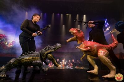 Thang Long Water Puppet Show Tickets - Tickets and Price: Getting Value From a Short, Full-Stage Show