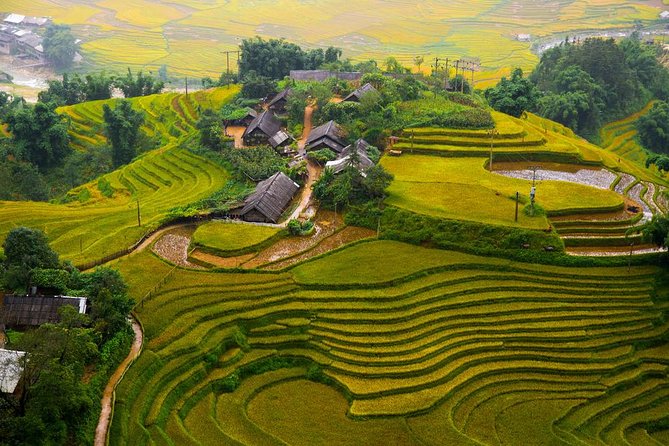 The Best Sapa Tour 2D1N Stay At 3<em> Hotel -Transfer by Sleep BUS – Day 1 in Sapa: Sapa Market and settling into your 3 hotel’ /><br />
Once you arrive in Sapa, your Day 1 includes time at <strong>Sapa Market</strong>. Even if you’ve never planned around a market before, this is a useful first stop because it helps orient you fast. You’ll see the energy of the town, the everyday items people trade and buy, and the way local life sits right at the edge of the mountains.</p>
<p><p>After that, the tour’s goal is simple: get you into position for the next day’s hiking while keeping the evening low-stress. You stay overnight in a <strong>3-star hotel in Sapa village</strong>, which matters because you won’t be bouncing between locations or sleeping somewhere far from town.</p>
</p>
<p><p>In feedback, people often mention that the hotel felt comfortable, with rooms that are properly furnished and clean. That’s not a guarantee, but it’s a good sign. For your planning, treat the first evening as your recovery block: get an early dinner (included on the program), hydrate, and set out clothes for the trail.</p>
</p>
<h2 id="day-2-hiking-the-5km-mountain-trail-to-y-linh-ho-village">Day 2 hiking: the 5km mountain trail to Y Linh Ho village</h2>
<p><img width="669" height="446" decoding="async" src=