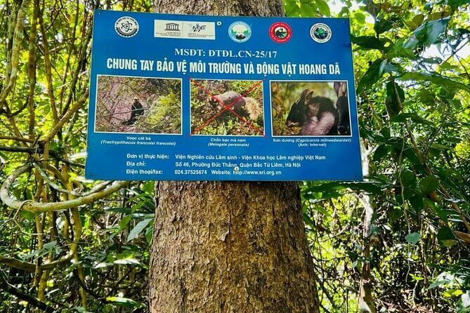 The Hidden Trails of Cat Ba - Getting there: meeting point and what a “small group” means