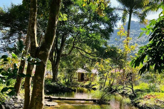 The Hidden Trails of Cat Ba - Viet Hai Village: a valley pause between jungle and calm waters