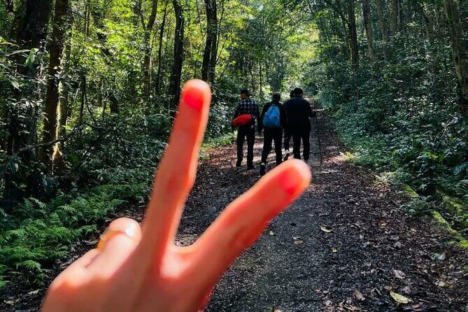 The Hidden Trails of Cat Ba - Lunch and transfers: the parts that keep the day stress-free