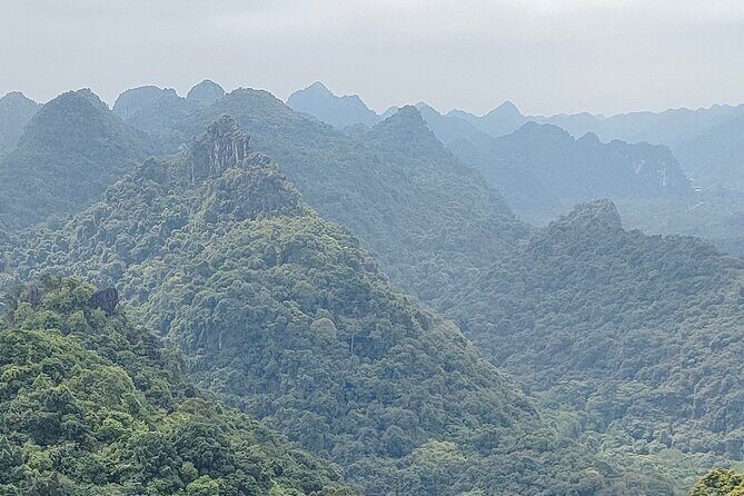 The Hidden Trails of Cat Ba - Guides and organization: what the best versions of this day look like