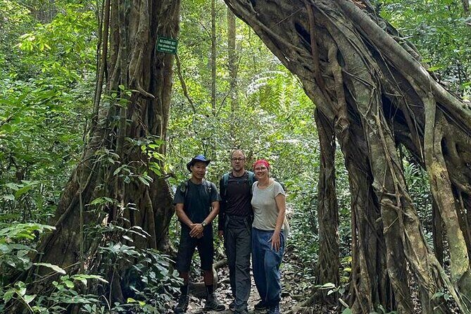 The Hidden Trails of Cat Ba - Morning in Cat Ba National Park: the 9km trek and summit views