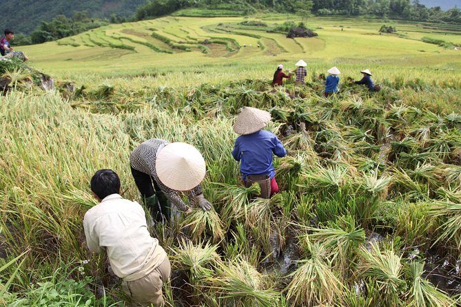 Three days motorbiking tour Pu Luong - Should You Book This 3-Day Pu Luong Tour?