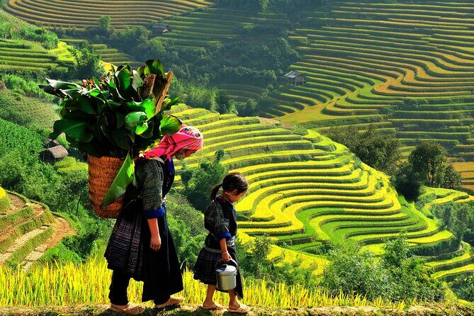 Trek Adventure in Ta Van Village, Lao Chai - Lao Chai rice terraces and a lunch that feels local