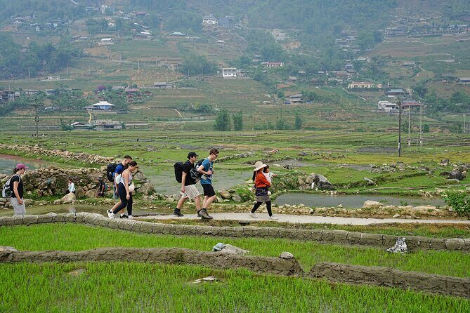 Trekking 1 circle the local village to admire Muong Hoa valley - Day 2: Red Dao to Giay Rice Terraces to Lao Chai