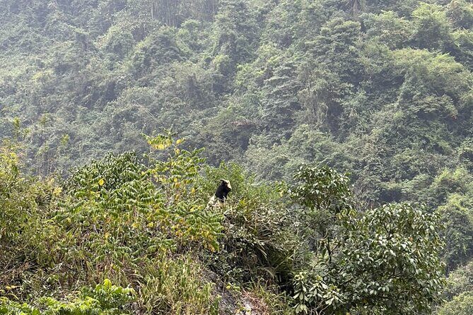 Trekking Ban Gioc Waterfall to Hidden Village on Unique Route - Why Ban Gioc-Detian is worth the early wake-up