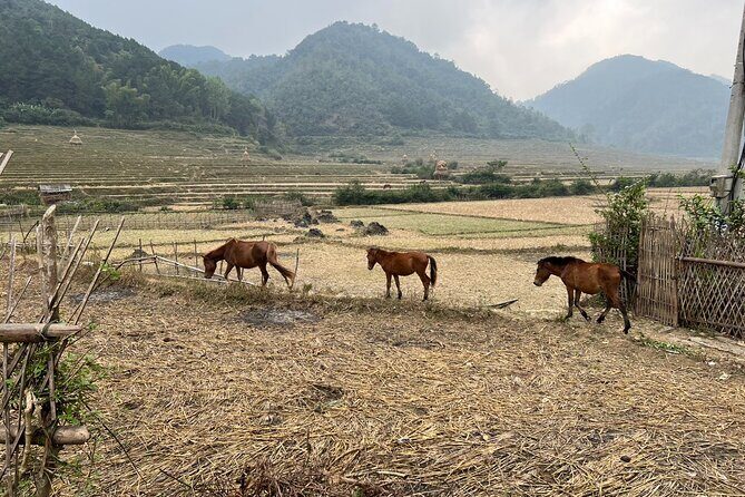 Trekking Ban Gioc Waterfall to Hidden Village on Unique Route - Day 2 morning: Quay Son River walk and the Ban Gioc–Detian feel