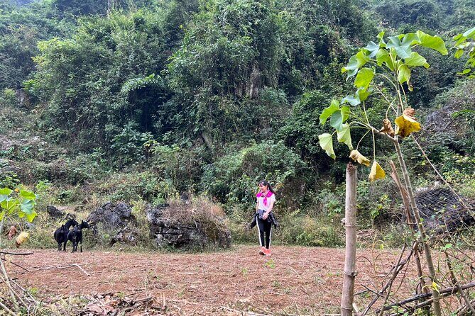 Trekking Ban Gioc Waterfall to Hidden Village on Unique Route - Price and what $129 really buys you