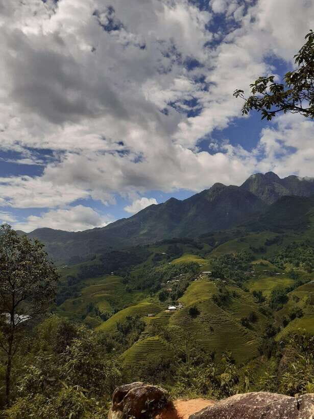 Trekking Sapa 1 Day With Local Guide, Terraced Rice Fields - Why this 1-day Sapa trek feels worth it