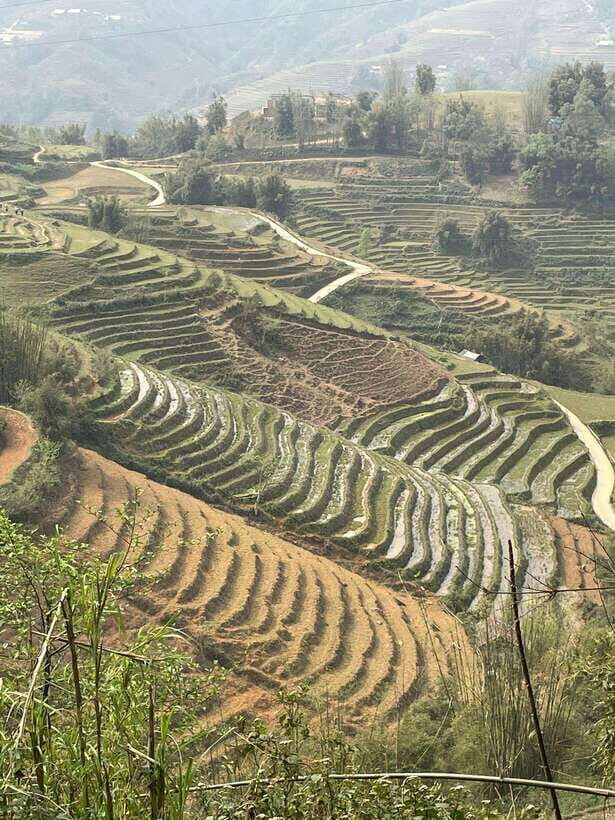 Trekking Sapa 1 Day With Local Guide, Terraced Rice Fields - Lao Chải and Ta Van: from Hmong areas to Giay village life