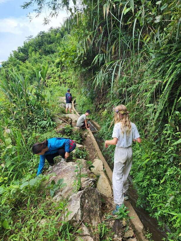 Trekking Sapa 1 Day With Local Guide, Terraced Rice Fields - Starting in Sapa at 8:00–8:30: quick orientation, then straight onto the trail